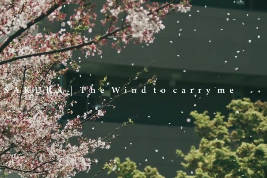 桜ポートレートムービー「SAKURA ─ The wind to carry me」